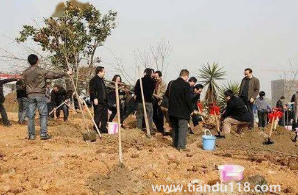 霜降以后還能種樹(shù)嗎3