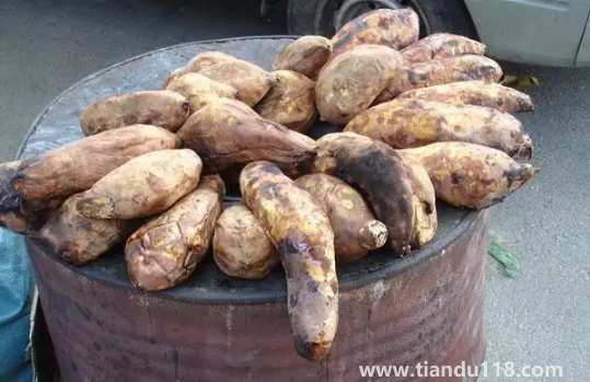 一個(gè)烤紅薯的熱量相當(dāng)于多少米飯的熱量3