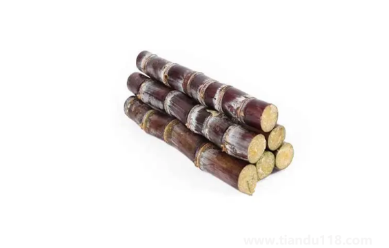 甘蔗哪頭比較甜2