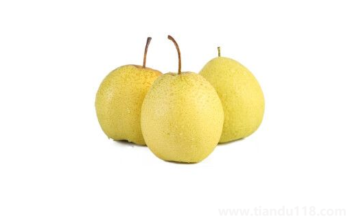 雪花梨含糖量高嗎3