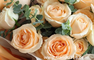 網(wǎng)上買(mǎi)的鮮花要醒花多久(網(wǎng)購(gòu)鮮花為什么要醒花)(圖2) 網(wǎng)上買(mǎi)的鮮花要醒花多久2