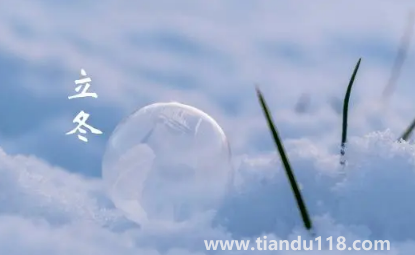 2022立冬是不是要吃羊肉(立冬吃羊肉有什么講究)(圖1) 2022立冬是不是要吃羊肉1