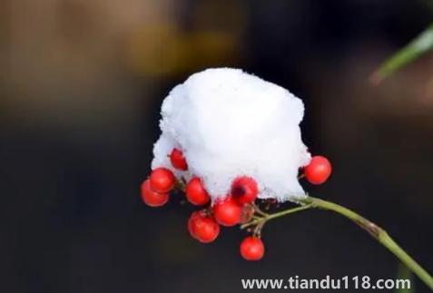 2022年11月份節(jié)氣到小雪是什么天氣2