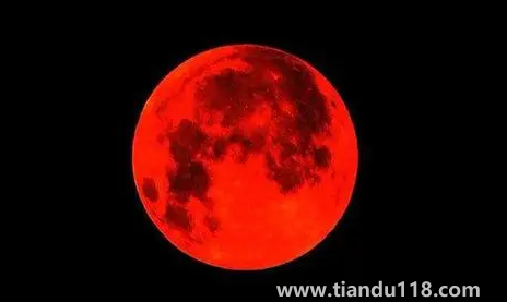 11月8日月全食每個(gè)地方都能見到嗎（月全食下一次何時(shí)出現(xiàn)）