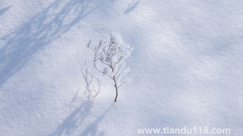 2022立冬過(guò)后為什么還這么熱3