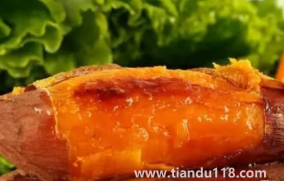 煙薯是轉基因紅薯嗎2