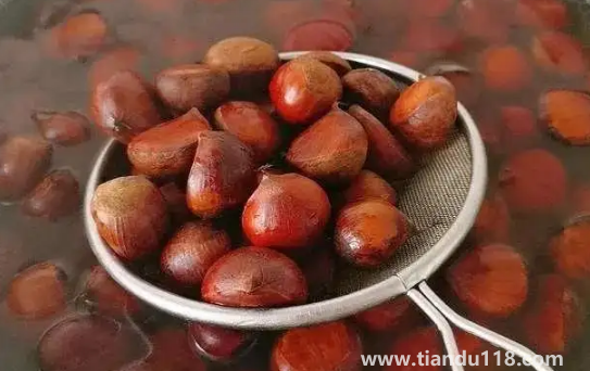 熟板栗變硬了怎么變軟（熟板栗怎么保存不會變硬）