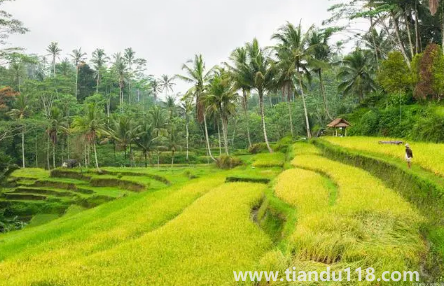 2023年閏二月算農歷三月嗎（閏二月有什么民間說法）