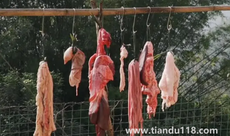 2023年臘月初一殺豬好不好3