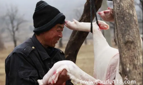 2023臘月哪天適合殺豬2