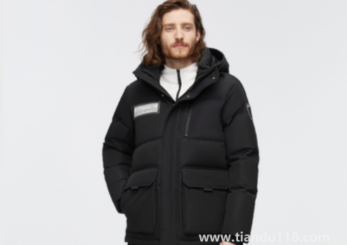 鵝絨一般比鴨絨貴多少2