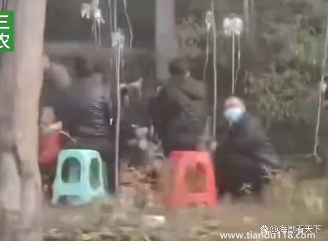 村民在煙霧繚繞的樹(shù)林里打吊瓶 網(wǎng)友稱(chēng)不忍直視