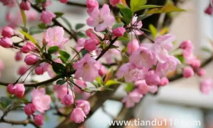 2023春節(jié)后氣溫還會下降嗎（春節(jié)后氣溫會出現(xiàn)什么變化）