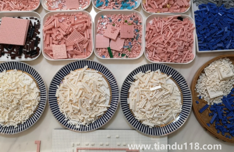 最稀有的樂高零件有哪些（樂高積木多余零件怎么利用）