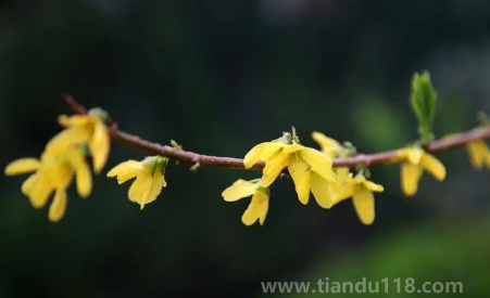 2023躲春時睡覺好嗎（躲春全天都要躲嗎）