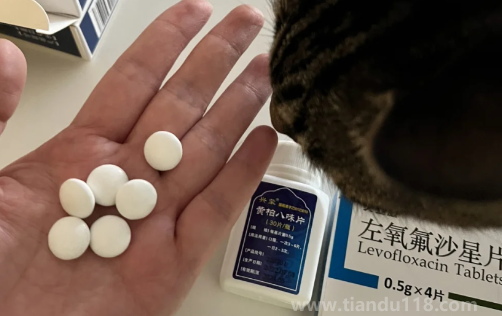為什么醫(yī)生不建議吃左氧氟沙星（左氧氟沙星吃了胃很難受）