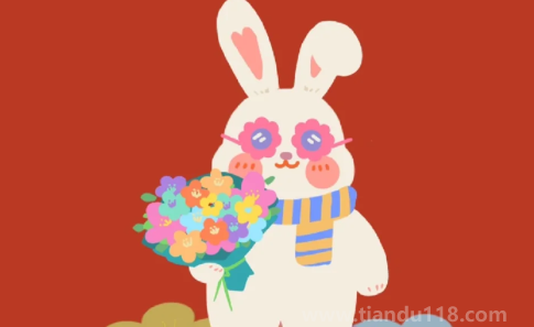 屬兔遇到黑兔年好不好2023（2023屬兔的本命年該如何度過）